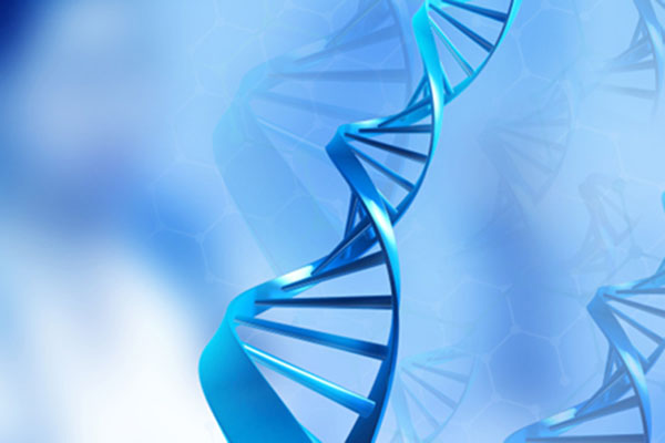 常州毛囊检测DNA有效期多久？ 